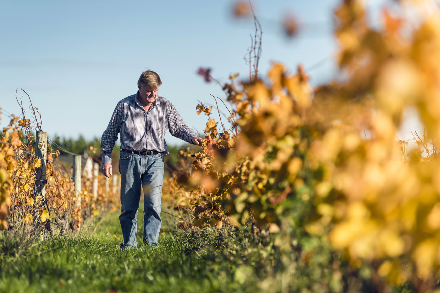 Larry McKenna, a Pinot Pioneer | The Real Review